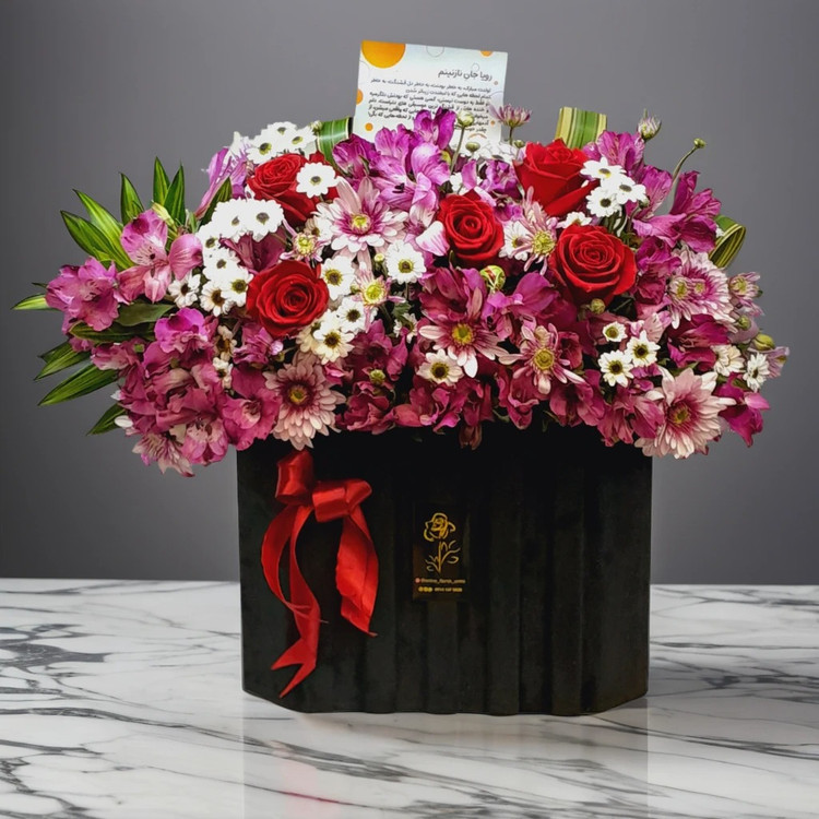 ترکیبی خیرهکننده از گلهای رز قرمز، داوودی سفید و صورتی، و آلسترومریا بنفش در باکسی مشکی و شیک، مناسب برای تبریک، تولد، سالگرد و مناسبتهای خاص