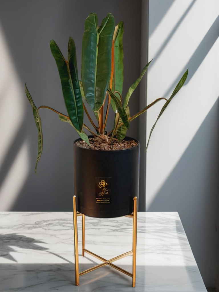 گل و گیاه ارومیه